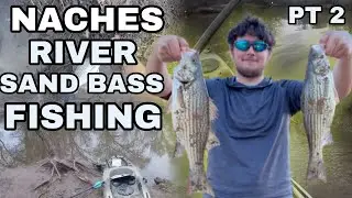 Neches River Sand bass Spawn Bite is INTENSE (Pt.2) DROPPED MY ROD??!!