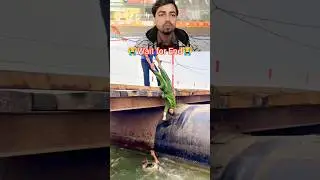 माहिया रे 😭 90&rsquo;S Old Hindi Songs🥰 90s Love Song😍 Udit Narayan|| Alka Yagnik|| Kumar Sanu songs Hindi