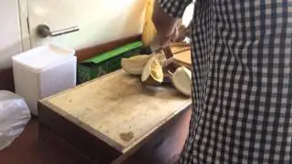 Scott's Durian Experience