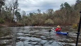 Alapaha River, US 41 to Suwannee River, part 2, lunch to Alapaha River Rise, WWALS 2022-02-05