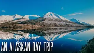 A Day Trip to Seward | Alaska Wildlife Conservation Center & Sea Life Center | Alaska | October 2020