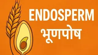 Endosperm (भ्रूणपोष) Explained | NEET Biology 2025 | Raj Kumar Sir | Seed Development & Nutrition