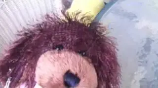 Sjsaberfan is back! :D