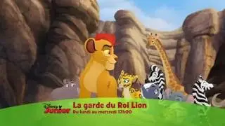 La Garde du Roi Lion - Du lundi au mercredi à 17h sur Disney Junior !