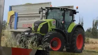 Costella Contoterzi - Trinciatura Triticale 2016 - Arborea (OR)