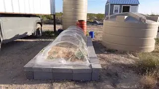 Adding Insect Netting to My Desert Raised Bed | Protect Brassicas from Pests