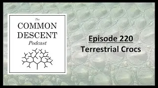 Episode 220 - Terrestrial Crocs