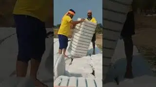 hamal de dhamal