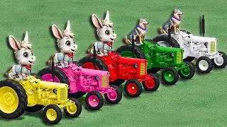 Colors For Kids - Fast Donkey Drive Vs Fast  Wolf Drıve - Kids Cartoon Video