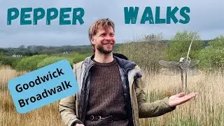 Fishguard To Goodwick Broadwalk.  Giant Dragonfly. The Shak.