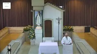 Ter&ccedil;o a Nossa Senhora de F&aacute;tima desde a Capelinha das Apari&ccedil;&otilde;es 12.01.2026