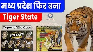 Shocking growth of Tigers in India | Tiger status report 2022 | Types of Big Cats | Tiger Population
