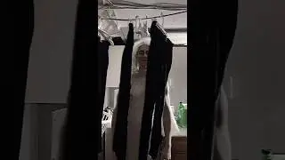 Never doing laundry again #horror #horrorstories #ghost #scary #spooky #creepy #spooky #jumpscare