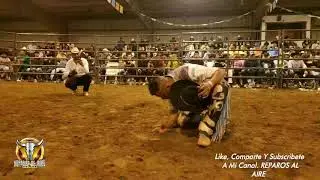 LE DICEN AMANZA TOROS 🚫 Camellito de Iguala