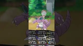 The Most Used Kanto Team!