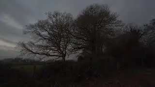Study Aid, Sitting in the Morning Sun - Nature - Ambient Noise, Shotover Oxford