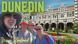 Magnificent scenic journey around Dunedin and Otago Peninsula