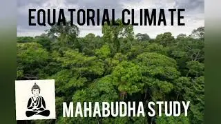 equatorial climate ,Equatorial forest.