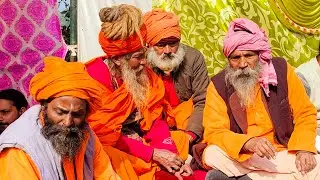 नवग्रह शनि देव महाराज जी की लाइवपरिक्रमा