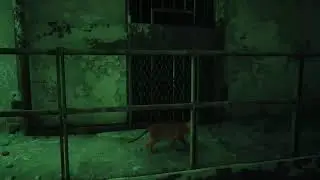 LITTLE CAT IN THE BIG CITY | Stray - Part 4
