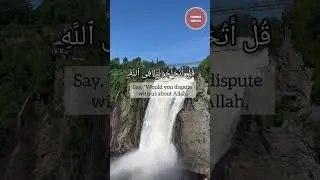 beautiful recitation of surah bakarah #hammasrecites #baqarah #hammas