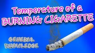 What is the temperature of a burning cigarette - General Knowledge Question