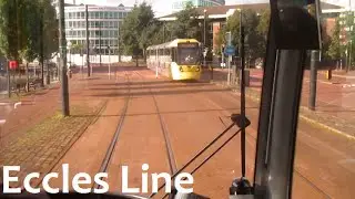 The 