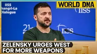 Zelensky asks for more weapons from West, says 'limited use of US weapons isn't enough' | WION DNA