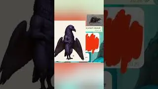Мемы по Тинаару. На Врана напала крыса, но он ПРЕДПОЧИТАЕТ ЛАТЕКС!!