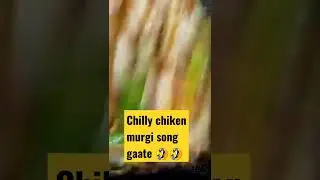 chully chiken sing.murgi#shorts #firstshortvideo #subscribe #sortvideo #suscribe