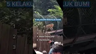 5 Kelakuan Makhluk dibumi 😭