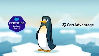 Salesforce Business Analyst Practice Test Walkthrough - Part 1