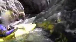 Federal Falls Carnage