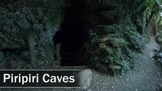 Piripiri Caves, Waitomo, New Zealand | 4K