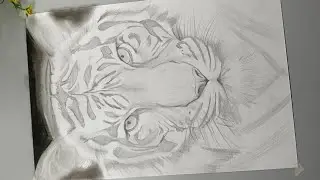 How to draw hyper realistic tiger 🐯