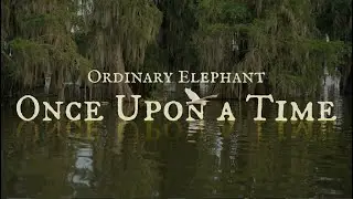 Once Upon a Time - Ordinary Elephant [Official Video]