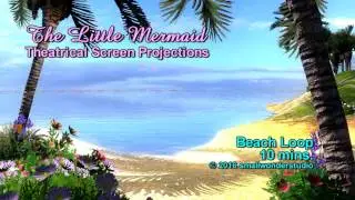 02005 Beach 10mins LOOP