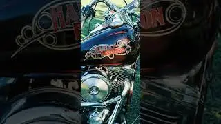 Harley Davidson  FXST softail 1987