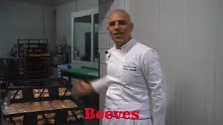 Beeves &Uuml;retim Tesisi