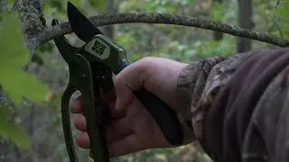 EZ Kut Pruner Review