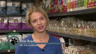 Činčila/Mr.Pet/O živalih in ljudeh
