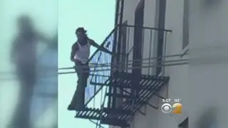 Brooklyn Police Chase Confusion