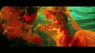 Birdhaus - Qu&aacute;sar (Official Video)