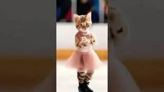 Billi's Epic Dance Moves: A Cat Like  #EpicCat #ViralShorts #FurryDancer #KittyDance #MustWatch