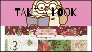 TAKE A LOOK: Say freeze 12x12 paper pad by Craft Smith