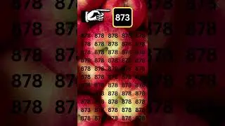 find 873