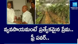వ్యవసాయమంటే ప్రత్యేకమైన ప్రేమ.. | Free Power To Nursery | YSR 75th Jayanthi | @SakshiTV