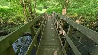Low Bradfield Hike highlights