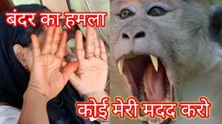 || mere uper monkey ka attack|| #pasta_recipe_#upvloggershabnam#