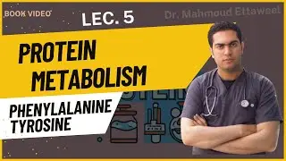 Protein Metabolism (Book) - lecture.5 - Phenylalanine & Tyrosine - Dr. Mahmoud Ettaweel